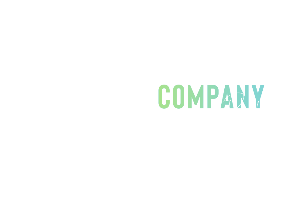 bnr_half_company